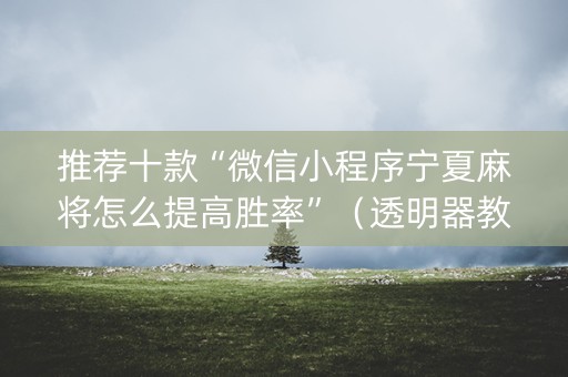 推荐十款“微信小程序宁夏麻将怎么提高胜率”（透明器教程)