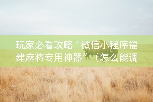 玩家必看攻略“微信小程序福建麻将专用神器”（怎么能调好牌)