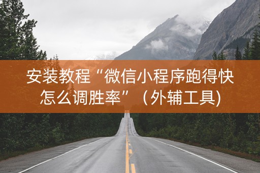 安装教程“微信小程序跑得快怎么调胜率”（外辅工具)