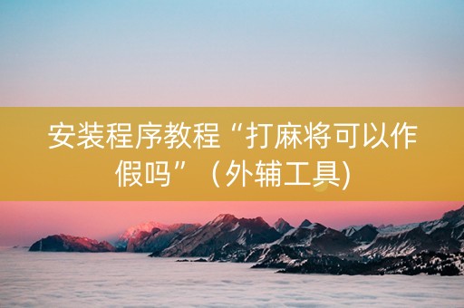 安装程序教程“打麻将可以作假吗”（外辅工具)