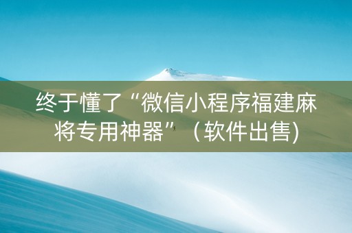 终于懂了“微信小程序福建麻将专用神器”（软件出售)