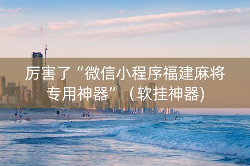 厉害了“微信小程序福建麻将专用神器”（软挂神器)