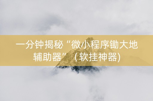 一分钟揭秘“微小程序锄大地辅助器”（软挂神器)