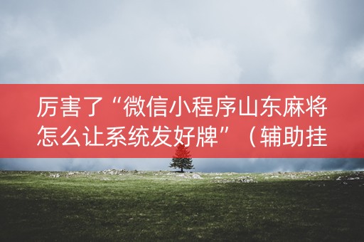 厉害了“微信小程序山东麻将怎么让系统发好牌”（辅助挂发牌规律)