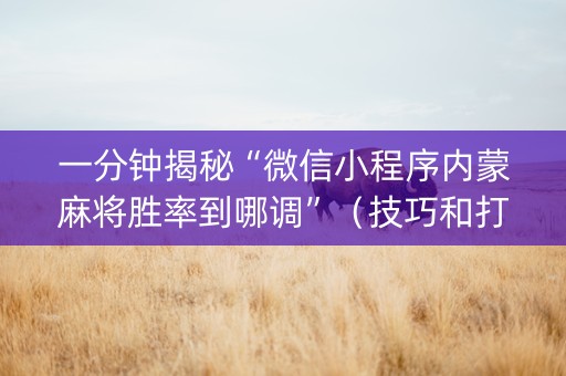一分钟揭秘“微信小程序内蒙麻将胜率到哪调”（技巧和打好牌方法)