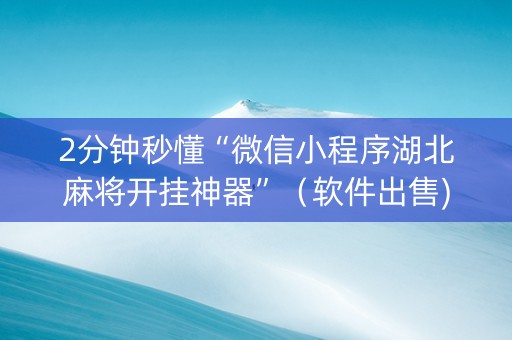 2分钟秒懂“微信小程序湖北麻将开挂神器”（软件出售)