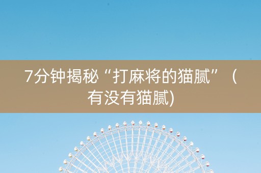 7分钟揭秘“打麻将的猫腻”（有没有猫腻)
