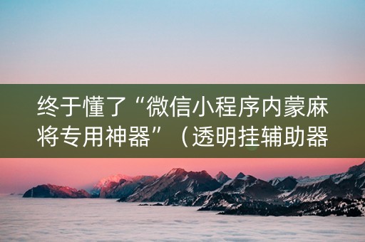 终于懂了“微信小程序内蒙麻将专用神器”（透明挂辅助器)