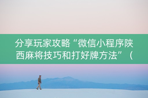 分享玩家攻略“微信小程序陕西麻将技巧和打好牌方法”（插件可信吗)