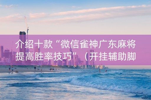 介绍十款“微信雀神广东麻将提高胜率技巧”（开挂辅助脚本)