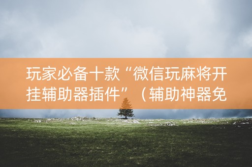 玩家必备十款“微信玩麻将开挂辅助器插件”（辅助神器免费)
