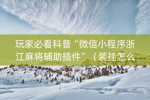 玩家必看科普“微信小程序浙江麻将辅助插件”（装挂怎么安装)
