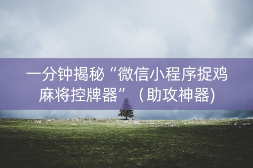 一分钟揭秘“微信小程序捉鸡麻将控牌器”（助攻神器)