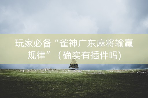 玩家必备“雀神广东麻将输赢规律”（确实有插件吗)