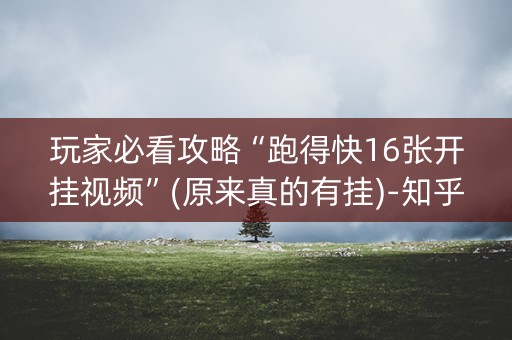 玩家必看攻略“跑得快16张开挂视频”(原来真的有挂)-知乎