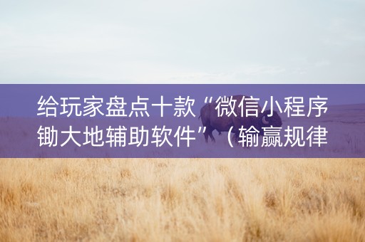 给玩家盘点十款“微信小程序锄大地辅助软件”（输赢规律)