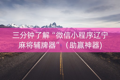 三分钟了解“微信小程序辽宁麻将辅牌器”（助赢神器)