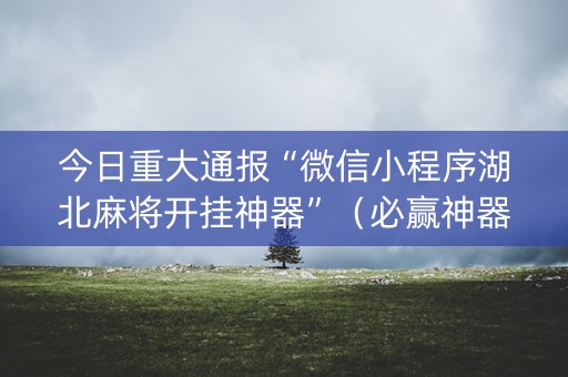 今日重大通报“微信小程序湖北麻将开挂神器”（必赢神器辅助器)