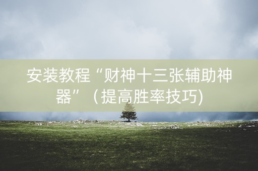 安装教程“财神十三张辅助神器”（提高胜率技巧)
