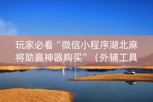 玩家必看“微信小程序湖北麻将助赢神器购买”（外辅工具)