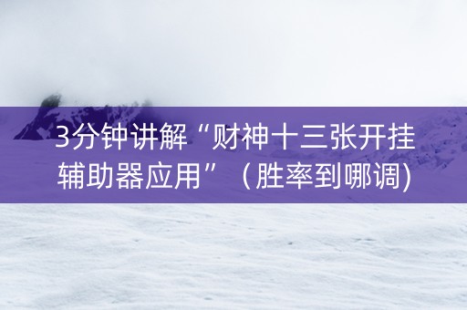 3分钟讲解“财神十三张开挂辅助器应用”（胜率到哪调)