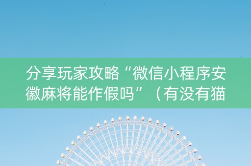 分享玩家攻略“微信小程序安徽麻将能作假吗”（有没有猫腻)