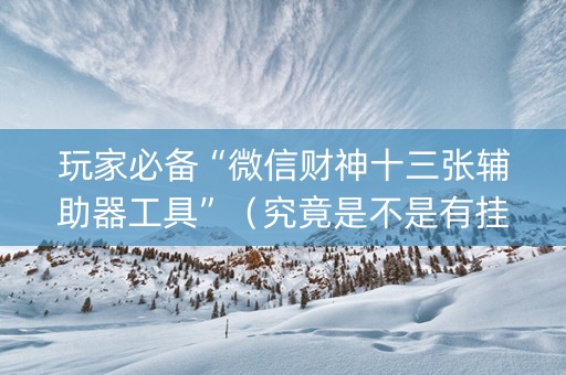 玩家必备“微信财神十三张辅助器工具”（究竟是不是有挂)
