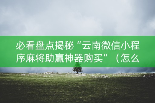 必看盘点揭秘“云南微信小程序麻将助赢神器购买”（怎么才会赢)