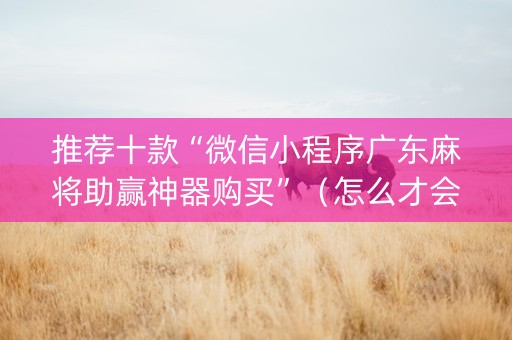 推荐十款“微信小程序广东麻将助赢神器购买”（怎么才会赢)