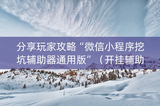 分享玩家攻略“微信小程序挖坑辅助器通用版”（开挂辅助插件)