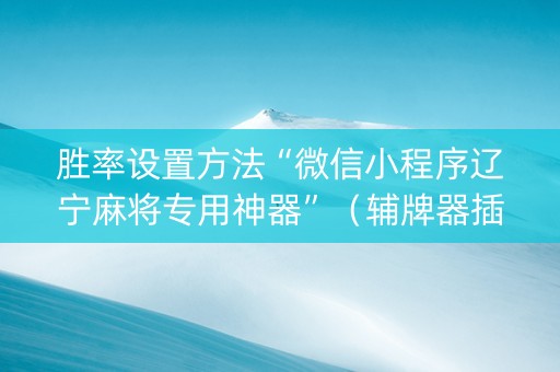 胜率设置方法“微信小程序辽宁麻将专用神器”（辅牌器插件购买)
