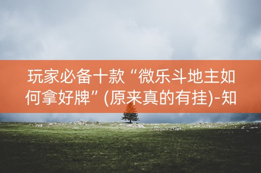 玩家必备十款“微乐斗地主如何拿好牌”(原来真的有挂)-知乎