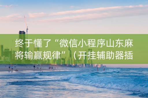 终于懂了“微信小程序山东麻将输赢规律”（开挂辅助器插件)