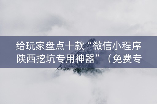 给玩家盘点十款“微信小程序陕西挖坑专用神器”（免费专用神器)