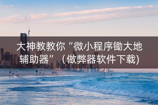 大神教教你“微小程序锄大地辅助器”（做弊器软件下载)