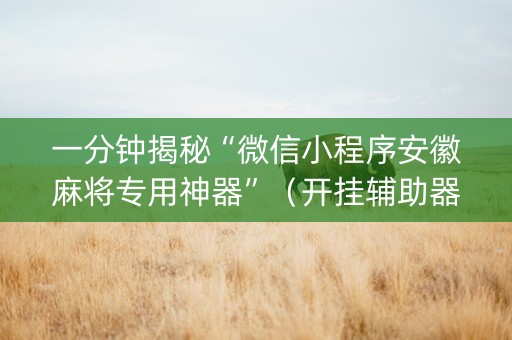 一分钟揭秘“微信小程序安徽麻将专用神器”（开挂辅助器插件)