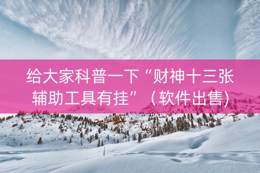 给大家科普一下“财神十三张辅助工具有挂”（软件出售)