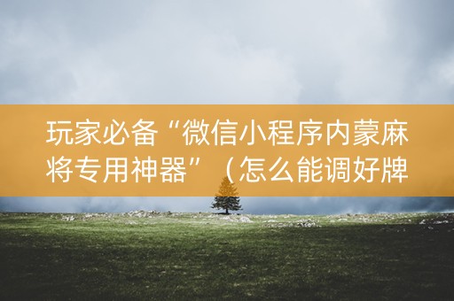 玩家必备“微信小程序内蒙麻将专用神器”（怎么能调好牌)