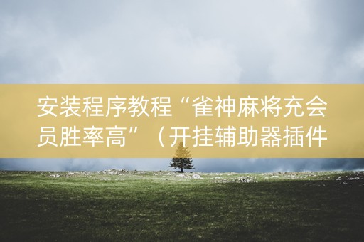 安装程序教程“雀神麻将充会员胜率高”（开挂辅助器插件)