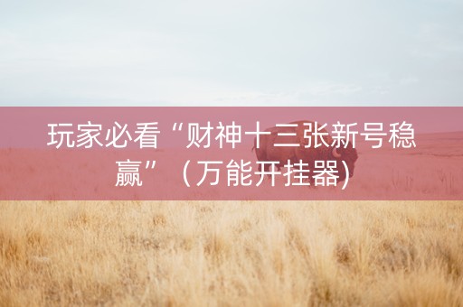 玩家必看“财神十三张新号稳赢”（万能开挂器)
