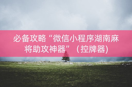 必备攻略“微信小程序湖南麻将助攻神器”（控牌器)