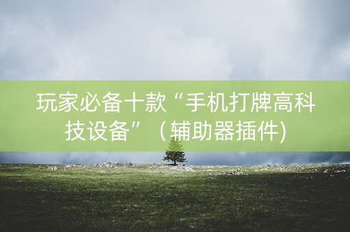 玩家必备十款“手机打牌高科技设备”（辅助器插件)
