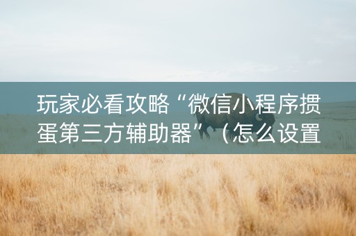 玩家必看攻略“微信小程序掼蛋第三方辅助器”（怎么设置能有好牌)