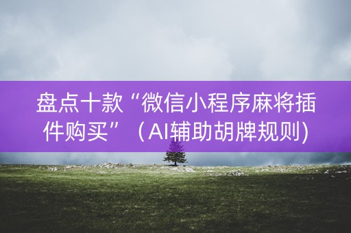 盘点十款“微信小程序麻将插件购买”（AI辅助胡牌规则)