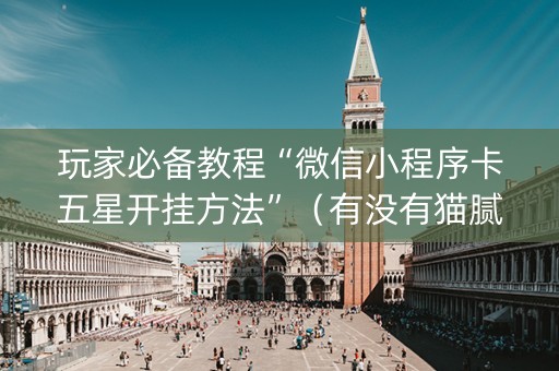 玩家必备教程“微信小程序卡五星开挂方法”（有没有猫腻)