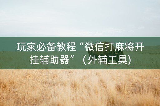 玩家必备教程“微信打麻将开挂辅助器”（外辅工具)