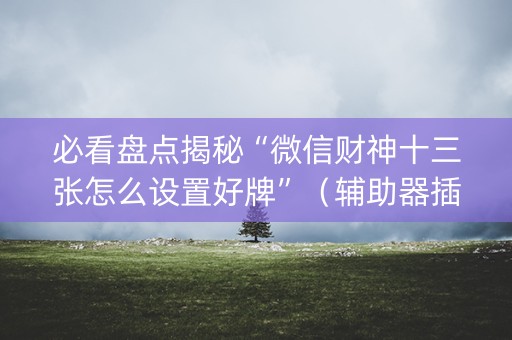 必看盘点揭秘“微信财神十三张怎么设置好牌”（辅助器插件)