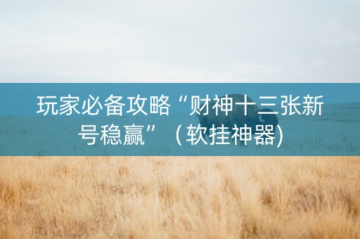 玩家必备攻略“财神十三张新号稳赢”（软挂神器)