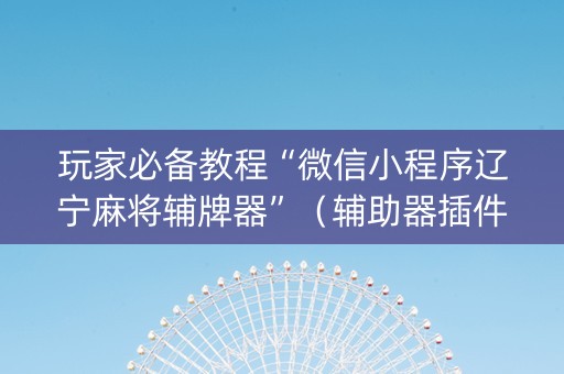 玩家必备教程“微信小程序辽宁麻将辅牌器”（辅助器插件)