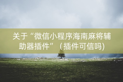关于“微信小程序海南麻将辅助器插件”（插件可信吗)